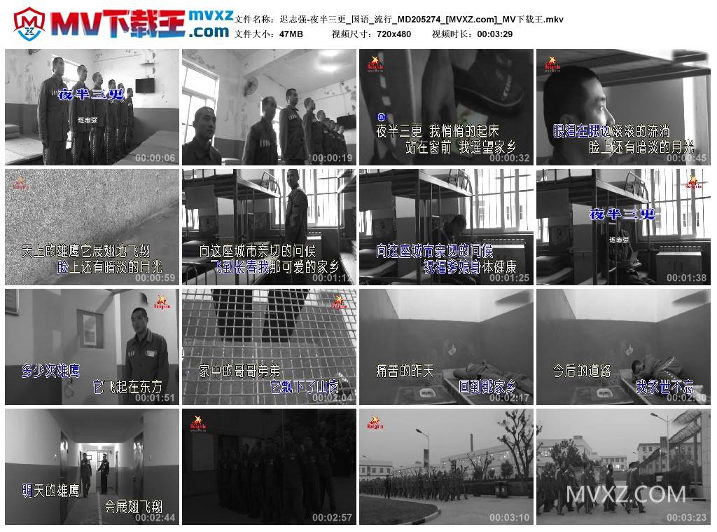 迟志强-夜半三更_国语_流行_MD205274